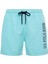 21005 Erkek Orta Boy Deniz Şortu-Mint 4