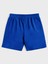 Erkek Baskılı Şort Daxis Sportwear Company 3