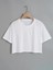 Daxis Crop Renkli Tshirt 1