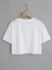 Daxis Crop Renkli Tshirt 2