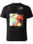 NF0A55EF M Foundation Graphic Tee S Erkek T-Shirt 1