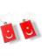 Bayrak Küpe 1