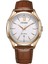 AW1753-10A Eco-Drive Erkek Kol Saati 1