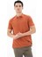 Erkek %100 Pamuk Basic Polo Yaka Regular Fit T-shirt Y25374351201 3