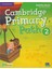 Primary Path Level 2 Activity Book With Practice Extra 2