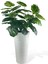 Yapay Monstera Beyaz Uzun Kumsal Vazoda 120CM 36YAPRAK 3