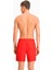 Swim Shorts Erkek Deniz Şortu 93519402 2