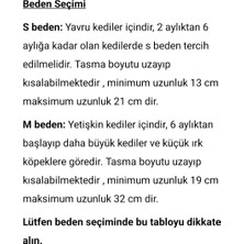 Ayz Markalama Gold Güvenlik Kilitli Kedi Tasması, Isimli Kedi Tasması, Kedi Isimlik, Kedi Künyesi, Safety Click Tasma, Sallanmayan Künye