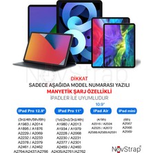 NovStrap Apple iPad Air 4/5 10.9 Uyumlu Kalem Pencil Manyetik Eşleşme Şarj Avuç İçi Reddi 2 Adet Uç