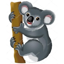 Anime And Your World Koala  Defter 1 Adet Özel Tasarım A4 Boyutu 21*29 cm Telli Çizgili Büyük Boy Defter