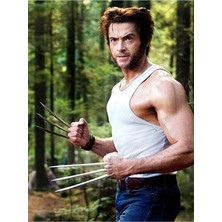 Anime And Your World Hugh Jackman  Defter 1 Adet Özel Tasarım A4 Boyutu 21*29 cm  Telli Çizgili Büyük Boy defter