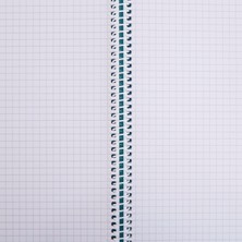 Anime And Your World Fotokart Temalı Defter 1 Adet Özel Tasarım A4 Boyutu 21*29 cm Telli Kareli Büyük Boy Defter