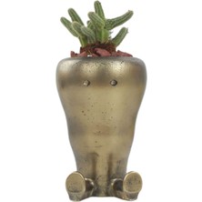 Stein Kohle Çiçek Saksısı Dekoratif Kaktüs Saksı 1 Adet Altın Renk Eskitme Uygulamalı Havuç Model