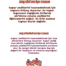 ÖzPati Kuşlar Için Grit Kil Blok 2 Adet / Grit Kömür Blok 2 Adet