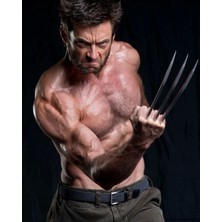 Anime And Your World Hugh Jackman  Defter 1 Adet Özel Tasarım A4 Boyutu 21*29 cm  Telli Kareli Büyük Boy defter