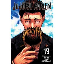 Viz Media Jujutsu Kaisen, Vol. 19: Volume 19