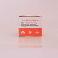 AlaSera Schüssler Mineralli Lipbalm Portakal Çiçeği Özlü Onarıcı Bakım Kremi 2'li Paket