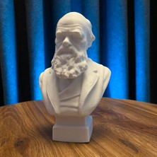 Root Made Charles Darwin Büst 13CM Evrim Teorisi Dekoratif Figür