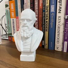 Root Made Charles Darwin Büst 13CM Evrim Teorisi Dekoratif Figür