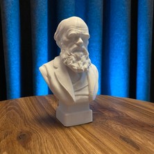 Root Made Charles Darwin Büst 13CM Evrim Teorisi Dekoratif Figür