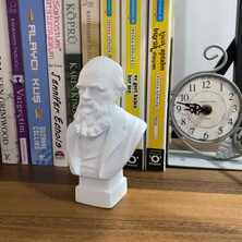 Root Made Charles Darwin Büst 13CM Evrim Teorisi Dekoratif Figür