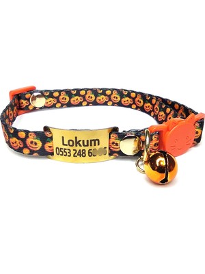 Ayz Markalama Gold Güvenlik Kilitli Kedi Tasması, Isimli Kedi Tasması, Kedi Isimlik, Kedi Künyesi, Safety Click Tasma, Sallanmayan Künye