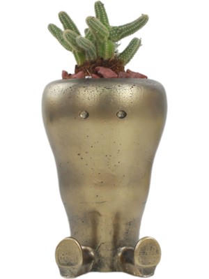 Stein Kohle Çiçek Saksısı Dekoratif Kaktüs Saksı 1 Adet Altın Renk Eskitme Uygulamalı Havuç Model