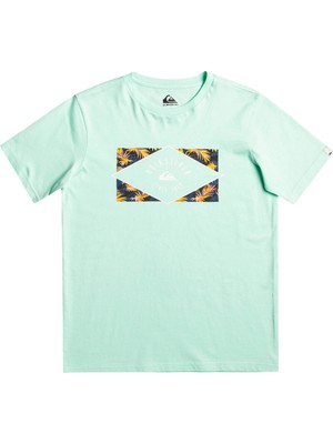 Quiksilver Circledline B Erkek Çocuk Renkli Tişört