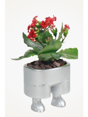 Viselia Dekoratif Saksı Gümüş Küçük Çiçek Saksısı Pantolon Model