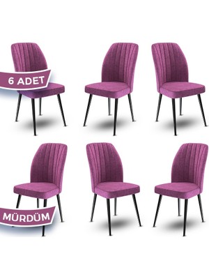 Canisa Concept Platinum Serisi Üst Kalite Mutfak Sandalyesi Metal Siyah Iskeletli 6 Adet Sandalye