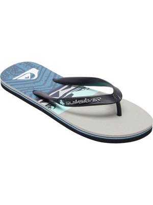 Quiksilver Molokai Panel Erkek Gri Terlik