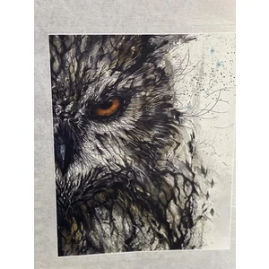 22X18 cm Ütü Ile Yapışan Baykuş Gözü Baskı Aplike Tişört Baskı Arma Yama Dikiş Hobi