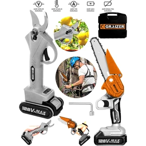 Alman 2 Li Set 128 Vf 10 Ah Çift Akülü Çelik Şanzuman Şarjlı Dal Ağaç Kesme Bağ Budama Makası