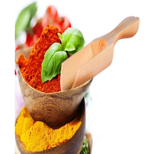 Bambu Ahşap 6 Adet Baharat Küreği Kaşığı