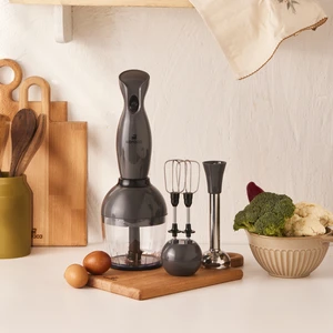 Profoodmix 3'lü Blender Set Space Gray 1000W