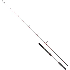Ryuji Searider 1.80M 60-180GR 2p Jig Kamış