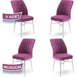 Concept Flex Serisi,  Üst Kalite Mutfak Sandalyesi Gürgen Beyaz Ahşap Ayak 4 Adet Sandalye