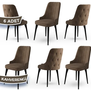 Concept Maya Serisi  Babyface Ithal Kumaş Sandalye Siyah Gürgen Ayak 6 Adet Sandalye
