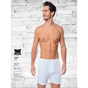 Erkek Arjantin Boxer6 Adet