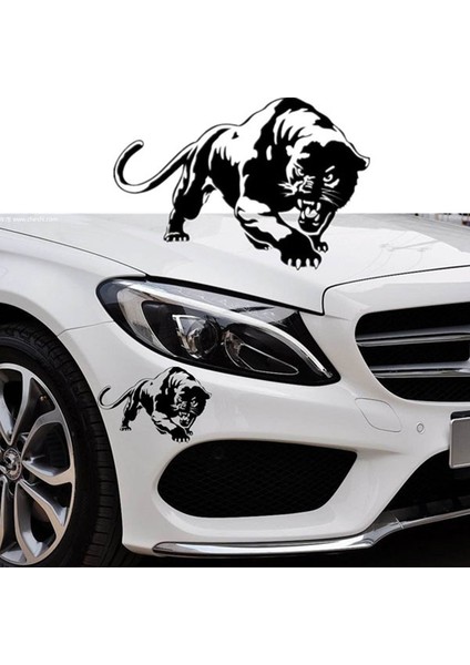 Araç Sticker fiyatları