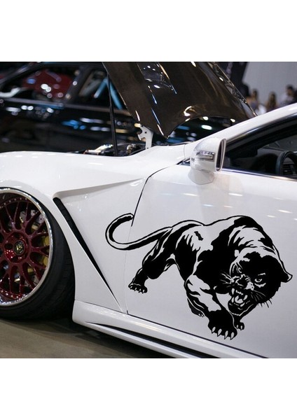 Araç Sticker fırsatları