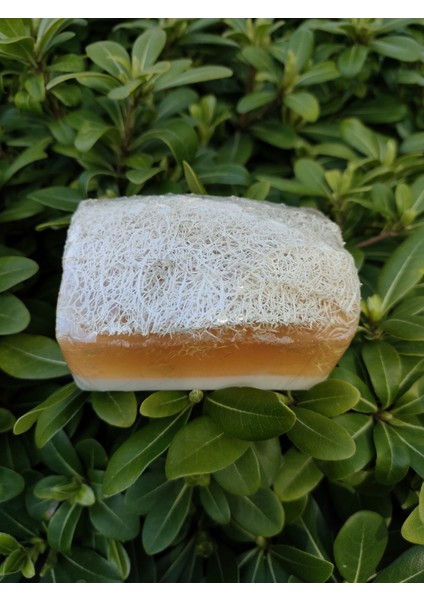 Doğal Kabak Lifli Ballı Eşek Sütlü Sabun fiyatları