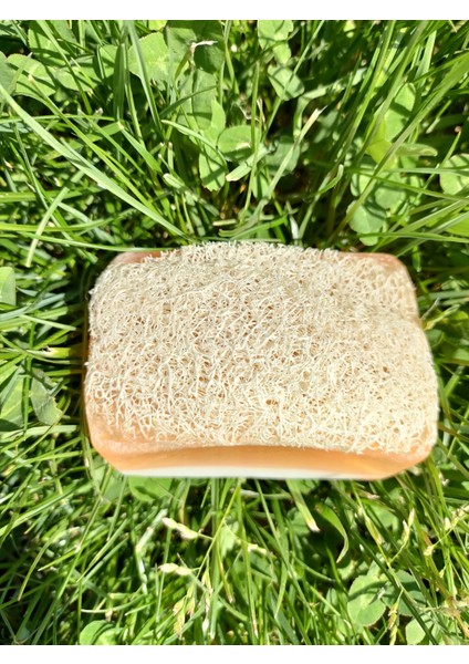 Doğal Kabak Lifli Ballı Eşek Sütlü Sabun modelleri