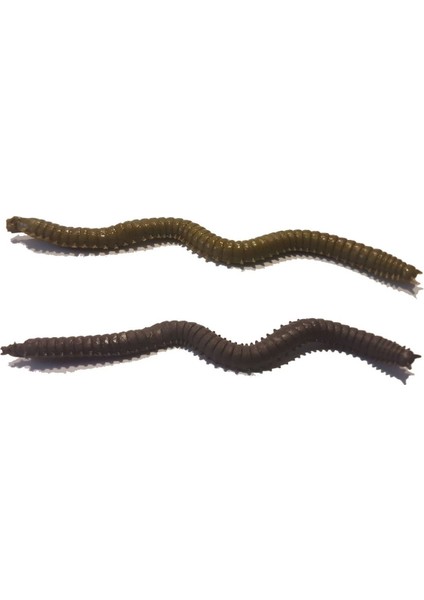 Vermz Kum Solucanı 9.5 cm 15P 01