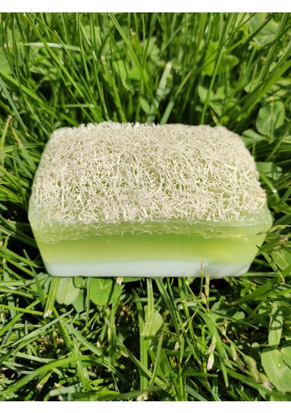 Doğal Kabak Lifli Sütlü Aloe Vera Sabun fiyatları