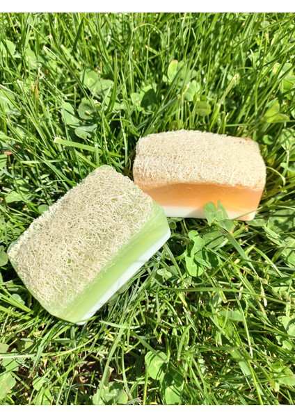 Doğal Kabak Lifli Ballı Eşek Sütlü + Aloe Vera 2'Li Sabun