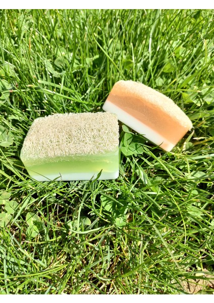 Doğal Kabak Lifli Ballı Eşek Sütlü + Aloe Vera 2'Li Sabun fiyatları