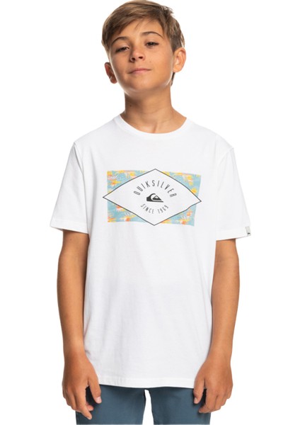 Circled Line Erkek Çocuk T-shirt EQBZT04590 modelleri
