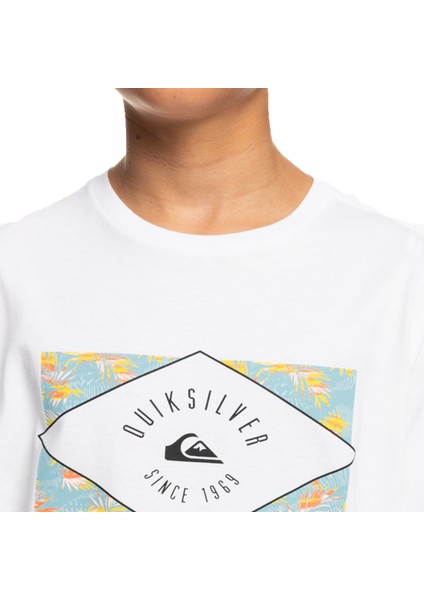 Circled Line Erkek Çocuk T-shirt EQBZT04590 indirimleri