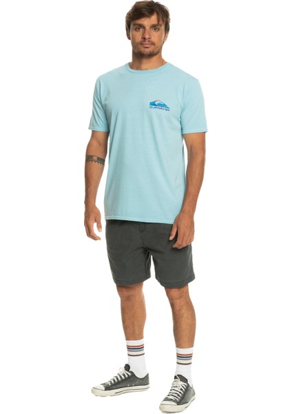 Pastime Paradise Erkek T-shirt EQYZT07252 indirimleri